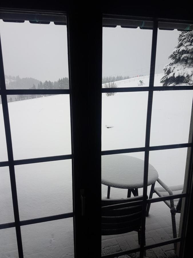 Appartement Neuastenberg Winterberg Eksteriør billede